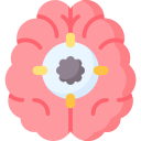 Dr. Amaurí - Neurocirurgião Blumenau